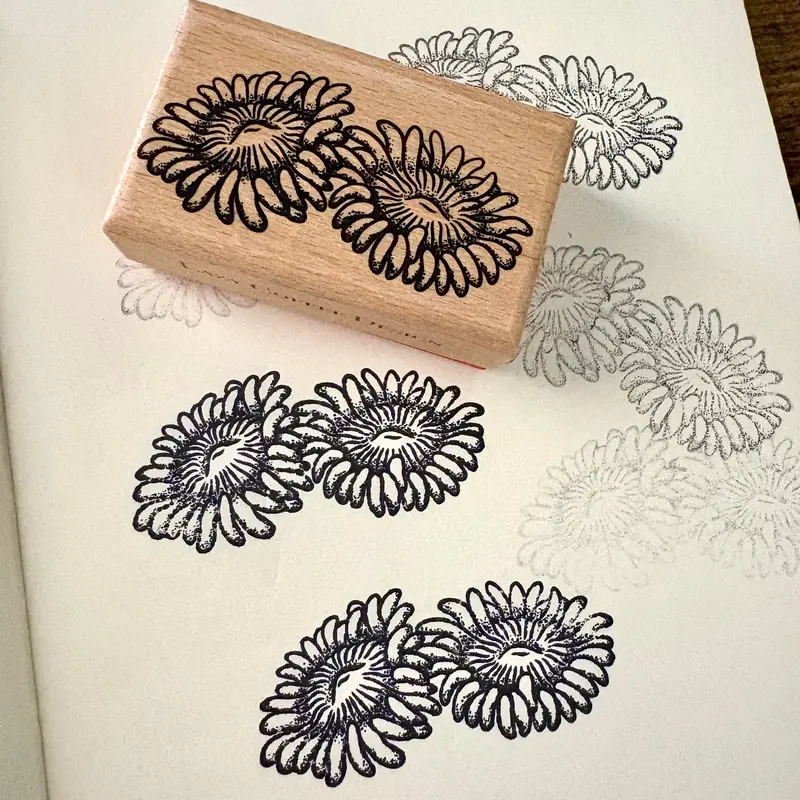 Zoanthids Rubber Stamp 1